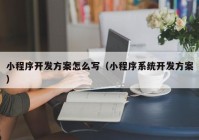 小程序开发方案怎么写（小程序系统开发方案）