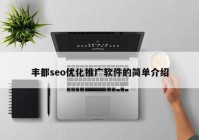 丰都seo优化推广软件的简单介绍