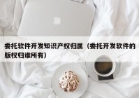 委托软件开发知识产权归属（委托开发软件的版权归谁所有）