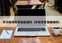 学习软件开发有前途吗（学软件开发赚钱吗）