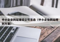 中小企业网站建设公司首选（中小企业网站规划方案）