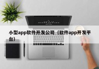 小型app软件开发公司（软件app开发平台）