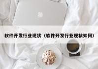 软件开发行业现状（软件开发行业现状如何）