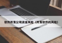 软件开发公司资金风险（开发软件的风险）