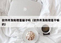 软件开发助理是骗子吗（软件开发助理是干嘛的）