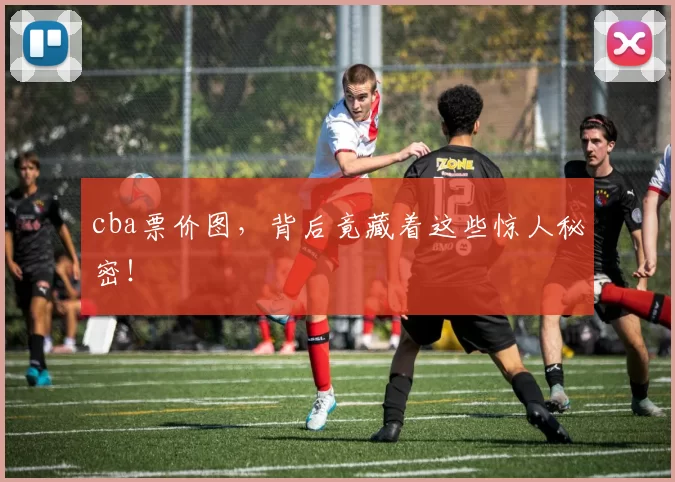 cba票价图，背后竟藏着这些惊人秘密！
