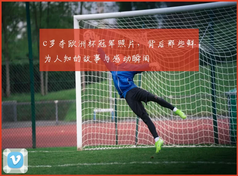 c罗夺欧洲杯冠军照片,背后那些鲜为人知的故事与感动瞬间
