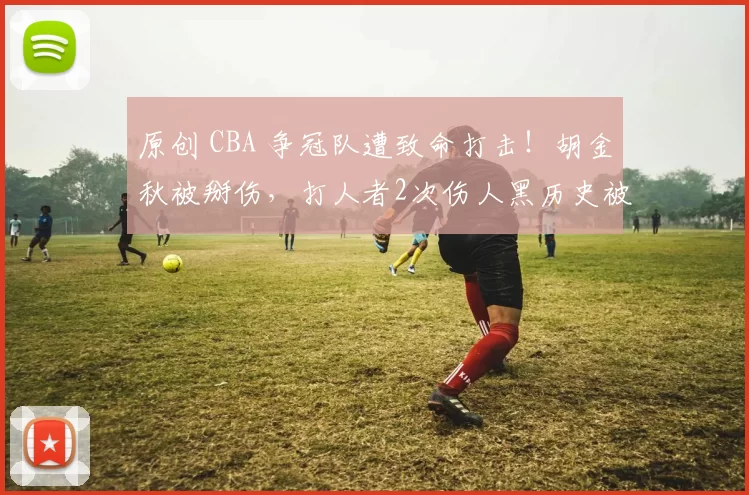 原创 CBA 争冠队遭致命打击!胡金秋被掰伤,打人者2次伤人黑历史被扒