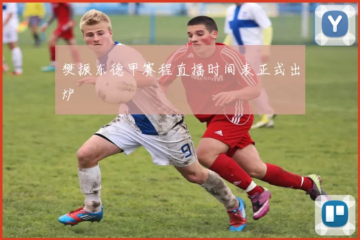 樊振东德甲赛程直播时间表正式出炉