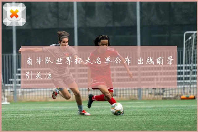 南非队世界杯大名单公布 出线前景引关注