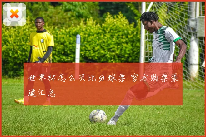 世界杯怎么买比分球票 官方购票渠道汇总