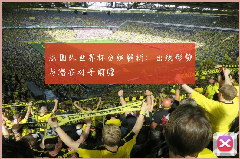 法国队世界杯分组解析:出线形势与潜在对手前瞻