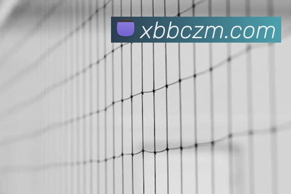 奖项2